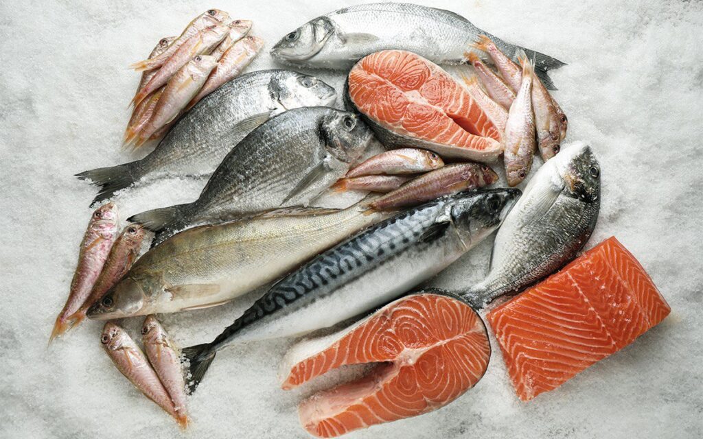 魚ダイエットレシピ